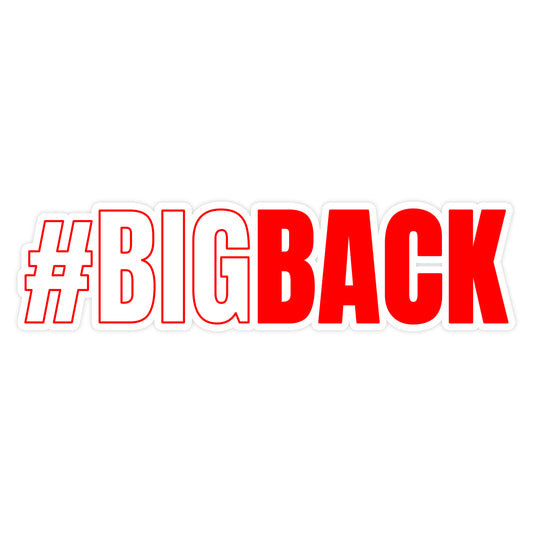#BIGBACK Sticker